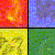 Four color schemes, four animals