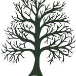 Capillary tree - Scan/ Painter Classic, 12/5/10